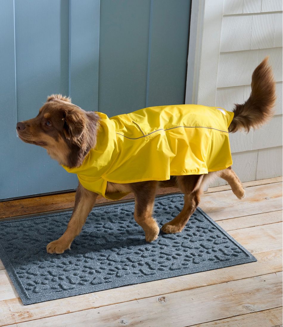 L.L.BeanDiscovery Dog Rain Jacket