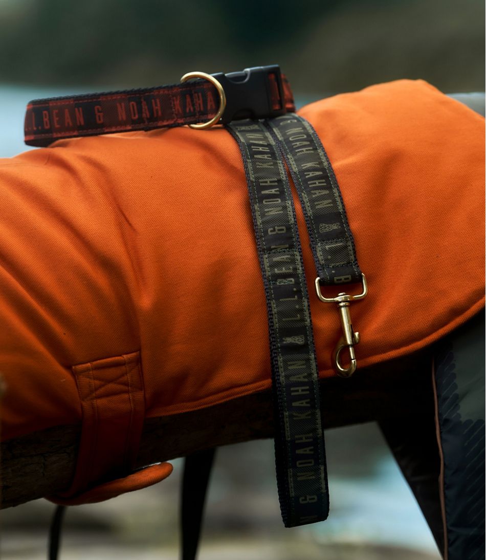 L.L.Bean& Noah Kahan Novelty Dog Collar