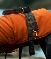 L.L.Bean& Noah Kahan Novelty Dog Collar