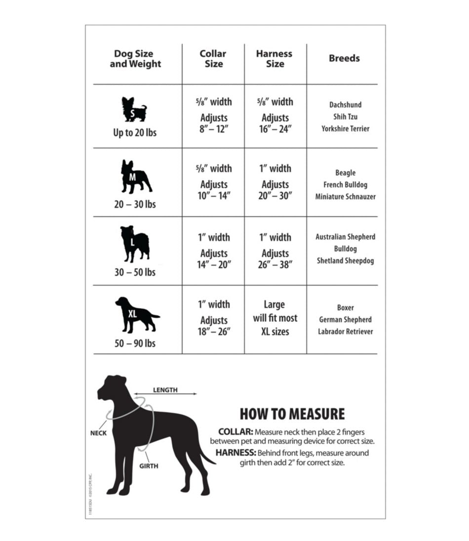 L.L.BeanPersonalized Pet Collar